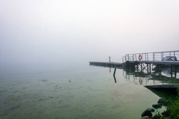 istock Foggy morning on the Volga river. 642570682