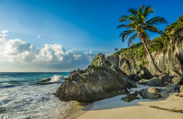 istock Caribbean beach with coconut palm, Tulum, Mexico 642577428