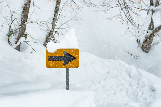istock Traffic sign in snow 642581892