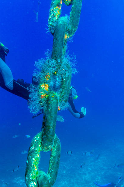istock Zenobia Ship Wreck near Paphos, Cyprus 642582774