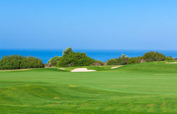 istock Fresh Green of Golf Field 642585516