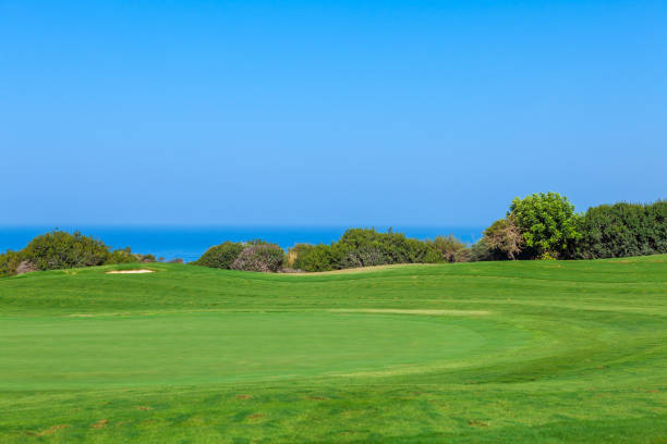 istock Fresh Green of Golf Field 642585520
