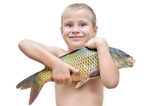Boy holding big fish isolated on white background