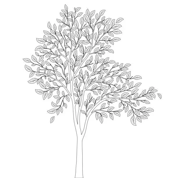 Vector illustration of Tree with leaves for coloring book page vector