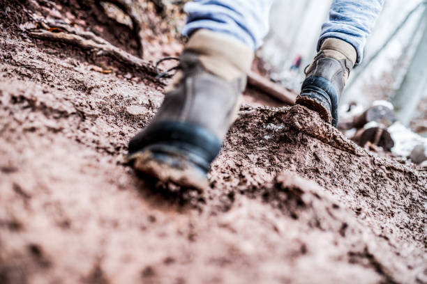 泥の中を歩く - boot prints ストックフォトと画像