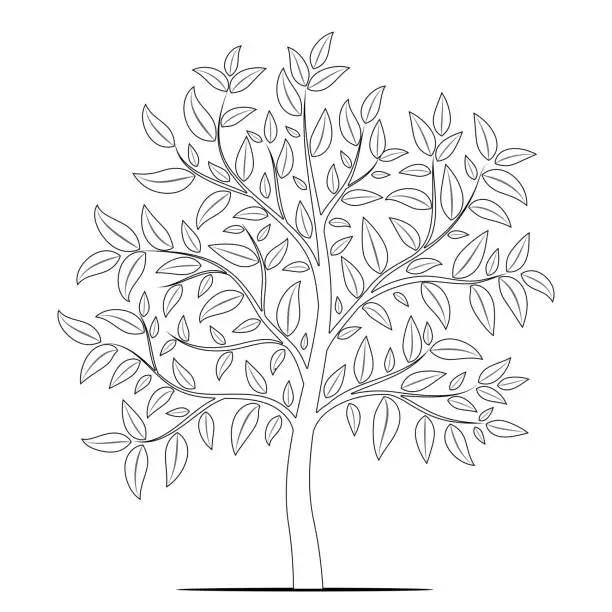 Vector illustration of Tree with leaves outline on white background vector