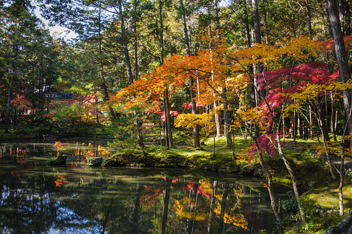 Kyoto, Japan, in the fall