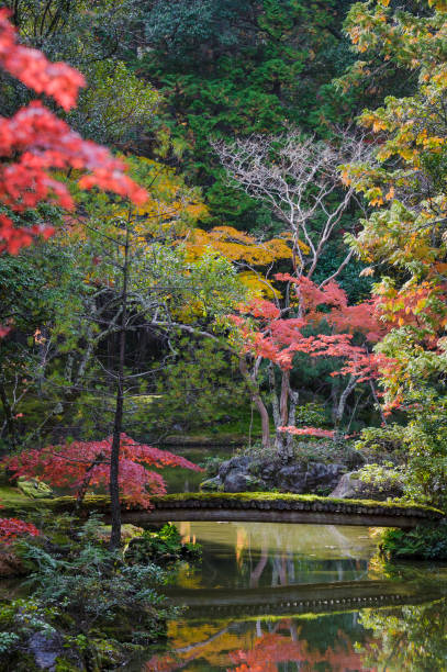 istock Temple Garden Wooden Bridge 642603242