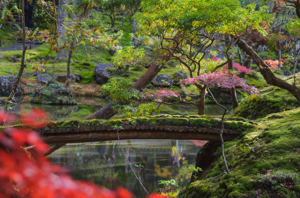 istock Wooden Bridge in Temple Garden 642603528