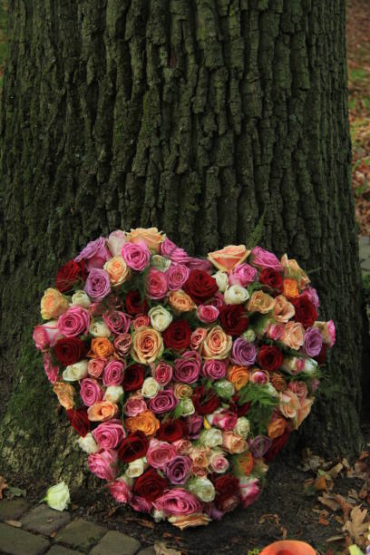 istock Heart shaped sympathy flowers 642606080