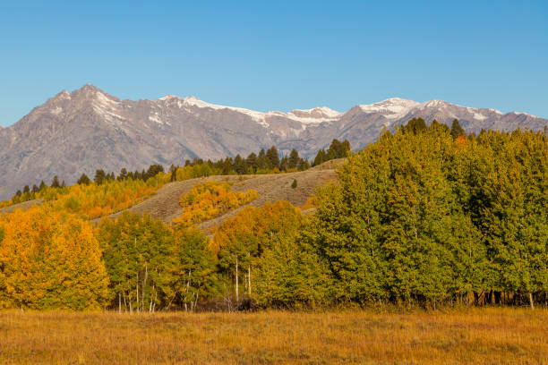 istock Autumn in the Tetons 642610228
