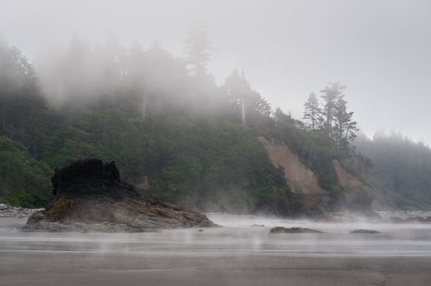 istock scenic view of Ruby Beach with dense fog, 642613538