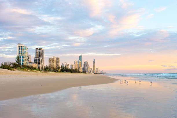 istock Surfers Paradise sunrise 642619958