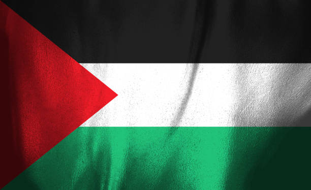 istock Flag of Palestine 642625512