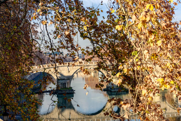 istock Bridge on the river Tiber in Rome seen through the trees (landscape) 642628302