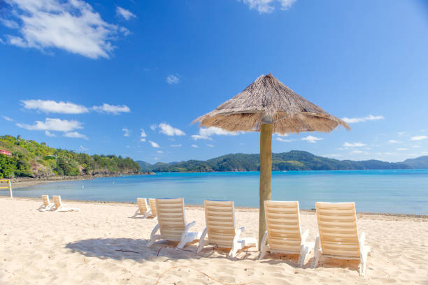 istock Catseye beach on Hamilton Island in the Whitsundays 642634866