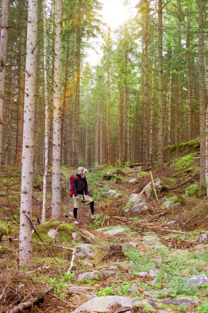istock Man With Backpack Hiking In The Forest, he is wearing a backpack / outings 642640940