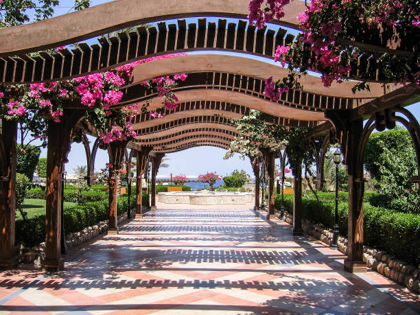 istock Covered walkway arches with flowers to beach in Egypt 642652588