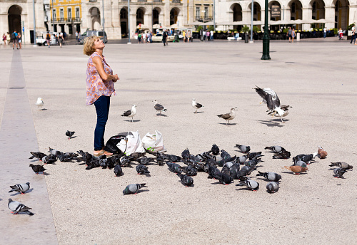 Woman feeding the birds, pigeons and seagulls, in Commerce Square, the main public square in downtown Lisbon, Portugal