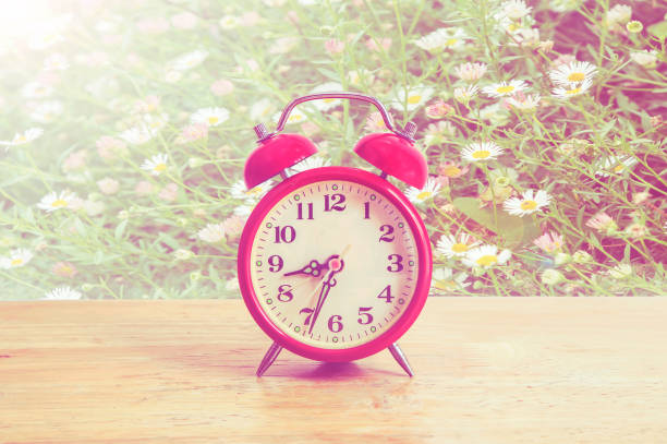 istock Red clock on wood,Flowers background. 642658416