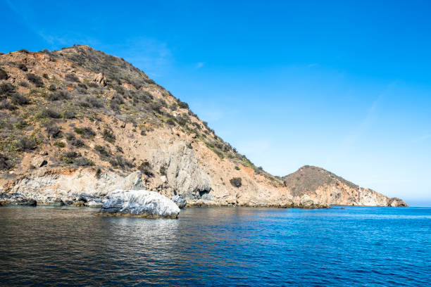 Scenic ocean, early morning Avalon bay view of sailboats, yachts, fishing boats and casino a peaceful relaxing vacation venue on Catalina island a southern California tourist attraction