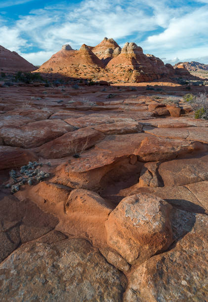 istock The Wave, Navajo Sandstone, Arizona 642666400