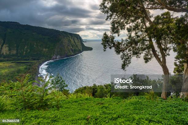 Seascape Of Pacific Coast At Hawaii Stock Photo - Download Image Now - Beach, Beauty, Blue