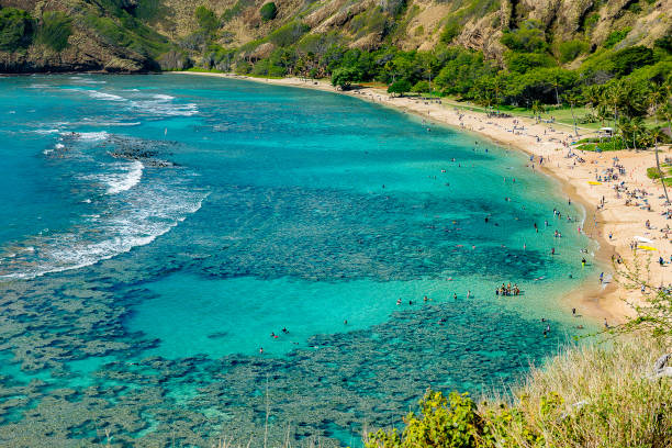 istock Hanauma Bay in the summer Hawaii 642666520