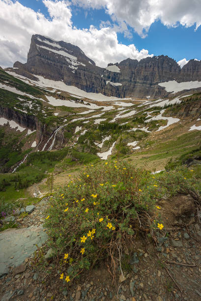 istock Scenic view in Glacier National Park 642668200