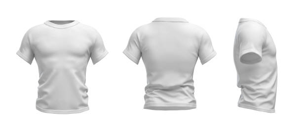 istock 3d rendering of a white T-shirt shaped as a realistic male torso in front, side and back view 642699334