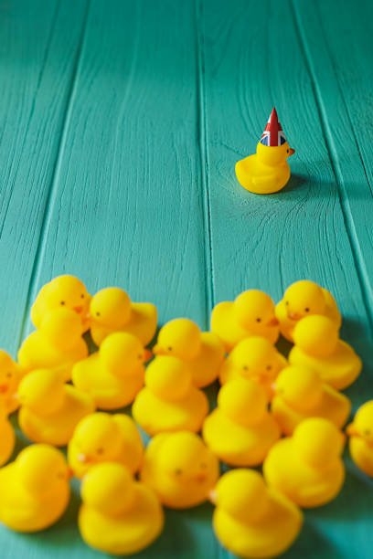 istock Rubber ducks sitting talking in a group whilst a single duck with a Union Jack hat on breaks away from the group. 642705604