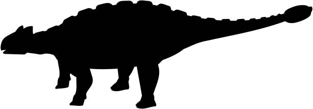 ilustrações de stock, clip art, desenhos animados e ícones de ankylosaurus silhouette - anquilossauro