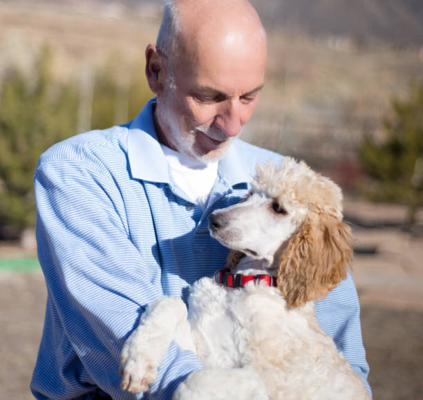 istock Senior man holding a cute puppy 642711930