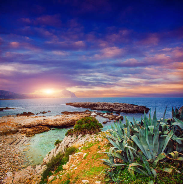 Sea coast at sunset Cape Milazzo. Italy.