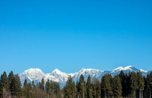 istock snowy mountains over fir trees 642732164