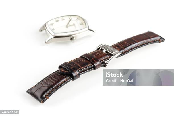 Leather Watch Band Stock Photo - Download Image Now - Alligator Gar, Arts Culture and Entertainment, Brown