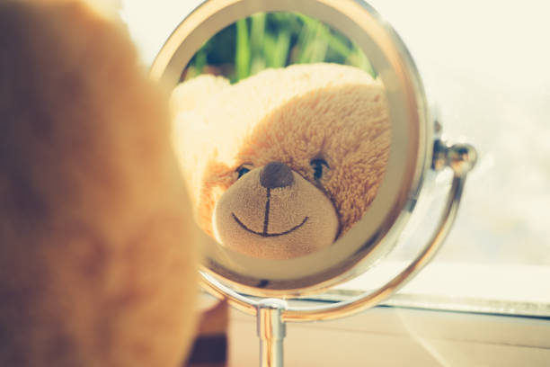 teddy-bear-looking-at-myself-in-the-mirror.jpg