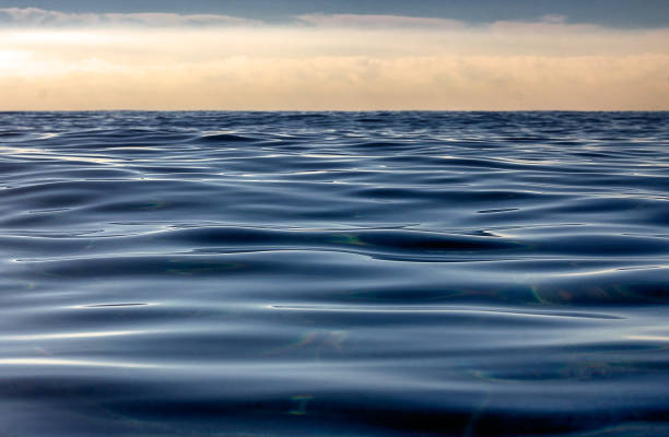 istock Sea waves in close-up 642750984