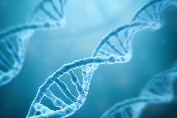 filamenti di dna su sfondo blu - ricerca genetica foto e immagini stock