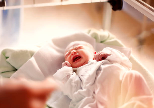 新生児の少女  - maternity clinic ストックフォトと画像