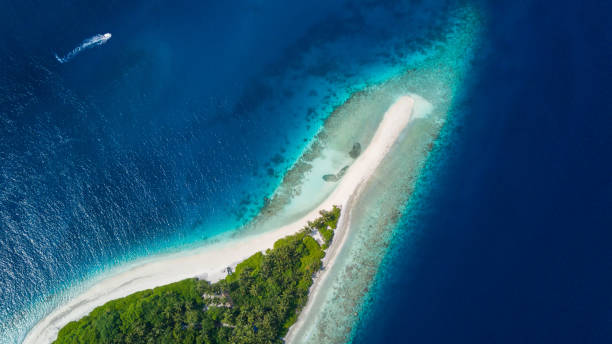 istock Beautiful aerial view of tropical beach 642771302