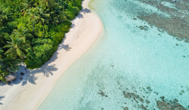 istock Beautiful aerial view of tropical beach 642771376