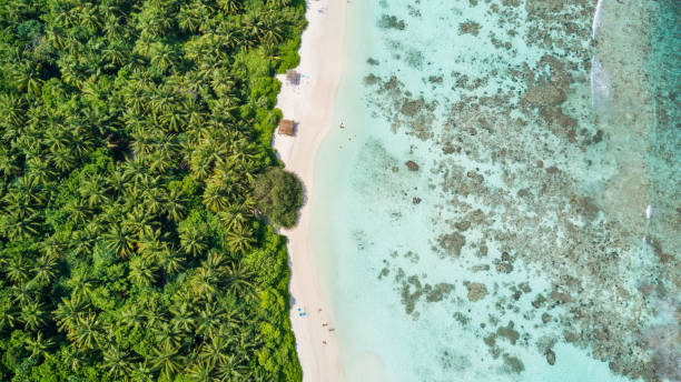 istock Beautiful aerial view of tropical beach 642771730