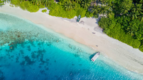 istock Beautiful aerial view of tropical beach 642771794