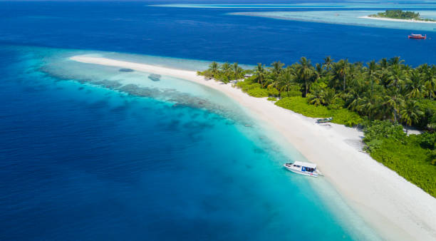 istock Beautiful aerial view of tropical beach 642778078