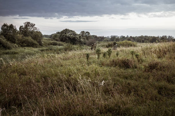 Rural landscape during hunting season with hunters in tall grass in rural field with dramatic sky during dusk Rural landscape during hunting season with hunters in among bushes in rural field with dramatic sky during dusk hiding place stock pictures, royalty-free photos & images