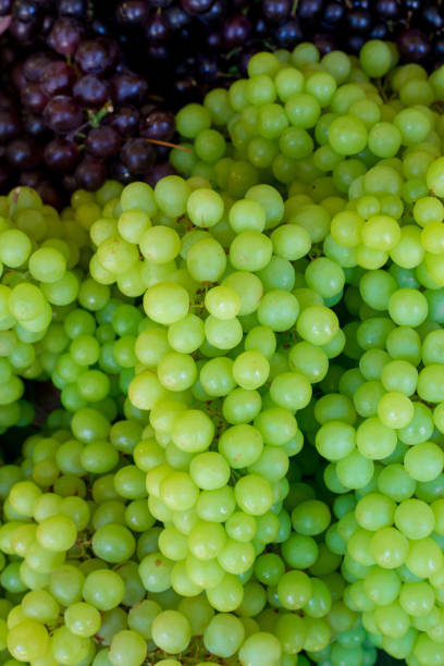 istock Fresh grapes in market,Soft focus 642795372