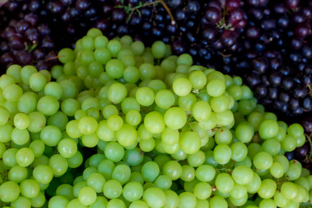 istock Fresh grapes in market,Soft focus 642795374
