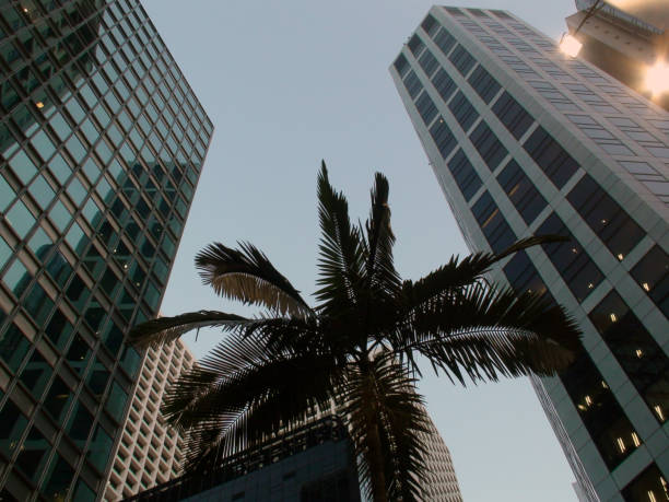 istock Tall Office Building Exterior In Hong Kong 642802700