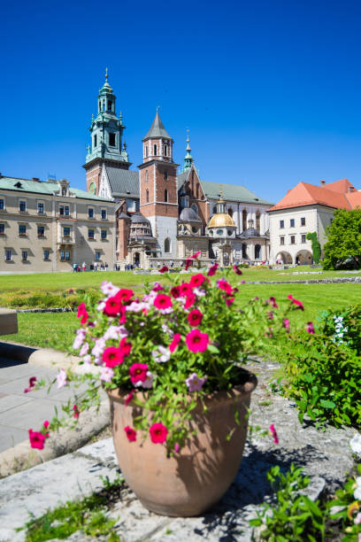 istock Center of Krakow in Poland 642805920